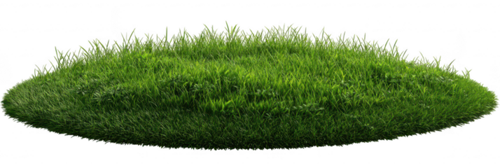 Lush green grassy mound (6)