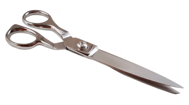 Stainless steel shears, angled view