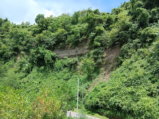 view of the mountain in the forest