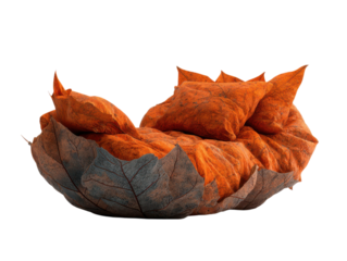 Leaf bed layered on ground in slow-moving air capturing tranquil forest glow
