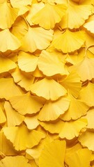 Dense Pattern of Yellow Ginkgo Leaves Forming an Abstract Background with Natural Texture