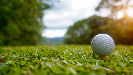 Golf ball on green grass in the evening golf course with sunshine background.