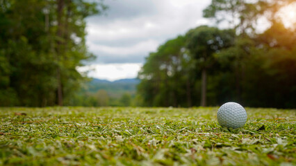 Golf ball on green grass in the evening golf course with sunshine background.