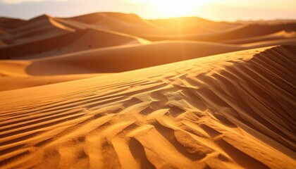 Golden Sand Dunes Undulating Under A Setting Sun Creating A Landscape Of Shadows And Light With Textured Surfaces
