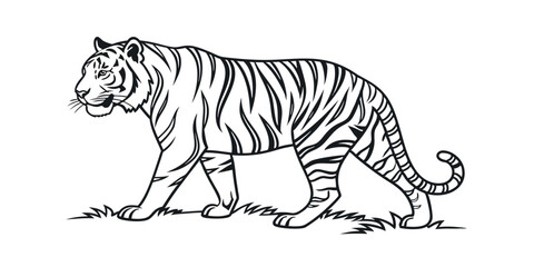 Majestic Tiger Line Art Elegant Stripes, Powerful Stride
