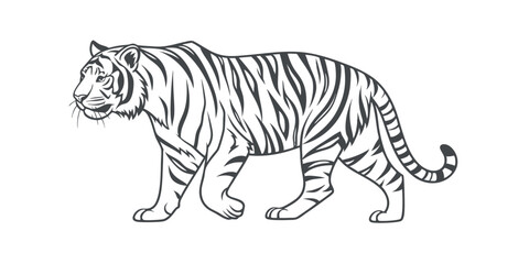 Majestic Tiger Illustration Side Profile of a Walking Tiger in Elegant Black and White Design