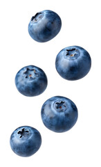 Falling blueberry isolated on transparent background