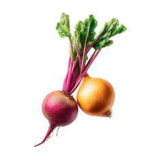 Vibrant beet and onion, close-up