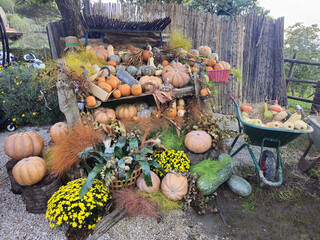 Pumpkin Display in Garden