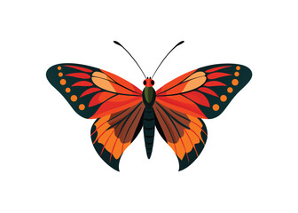 Vibrant Orange Butterfly Illustration  Detailed Wings, Nature Inspired Design Element