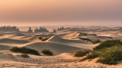 Sandy Desert Landscape at Sunrise