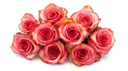Obraz premium Romantic Pink and Cream Roses Bouquet Closeup