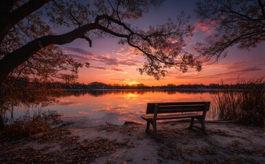 bench in the morning