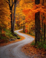 road in autumn