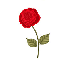 Spring Blooms. Perfect for greetings.