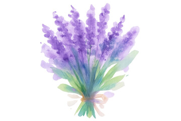Obraz premium Watercolor lavender bouquet displaying delicate purple blooms and verdant leaves, resting against transparent backdrop