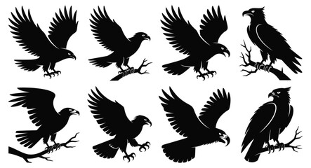 Set of eight black eagle and hawk silhouettes perched and flying, detailed raptor shapes perfect for nature, wildlife, and vector design
