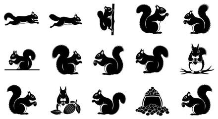 Fototapeta premium Various poses of squirrels in black silhouettes on white background 