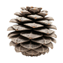 Seed shape, unique seed pattern, organic seed texture, exotic seed varieties, fine seed arrangement, natural seed art, white background PNG