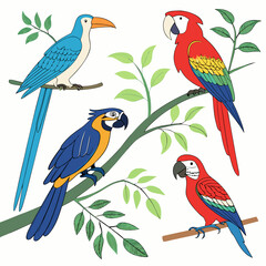 Four colorful parrots perched on branches macaws birds
