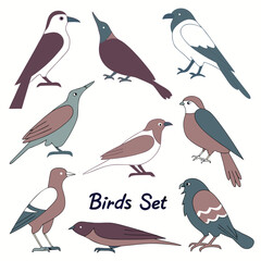Fototapeta premium Various stylized birds with muted colors illustration