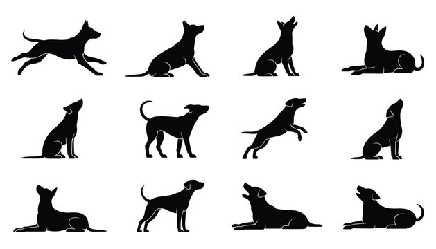 Set of 12 dog silhouette illustrations in various poses like sitting, standing, jumping, and lying down, ideal for pet design projects