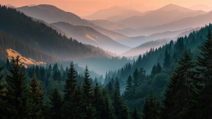 Obraz premium Serene Landscape of Misty Mountains and Lush Green Forest at Dusk with Soft Warm Sunlight