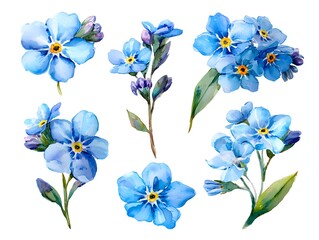 Fototapeta premium Abstract blue watercolor flowers on white background