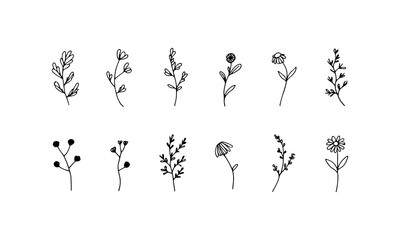 Ink Botanical Mix. A refined mix of floral line elements with blooming flowers and natural foliage in a soft ink style.