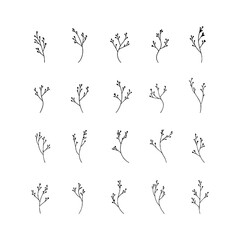 Linear Wildflower Elements. Thin-stemmed wildflowers with airy silhouettes and minimalist flair for subtle floral design work.