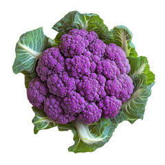 Bright purple cauliflower nestled in green leaves on a clean Transparent background, Purple cauliflower on PNG background