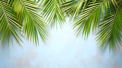 Fototapeta premium Vibrant Green Palm Fronds on Light Blue Background Tropical Summer Leaf Banner