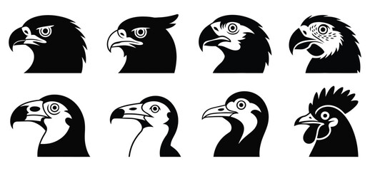 Set of 8 stylized bird head silhouettes including eagle, hawk, parrot, vulture, and rooster in artistic black and white vector