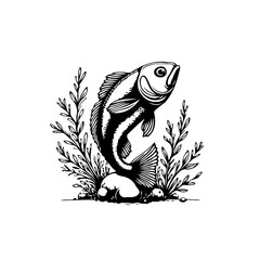 Monochrome stylized fish art illustration with aquatic plants and rocks in minimalistic style line art drawing composition