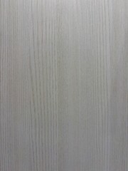 white paper texture