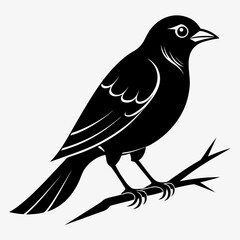 Obraz premium vector illustration of a bird