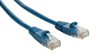 Blue network cable with clear connectors isolated on a transparent background ethernet cable
