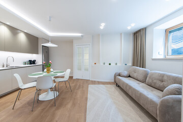 Modern Home Living Room and Kitchen Interior with Stylish Minimalistic Design