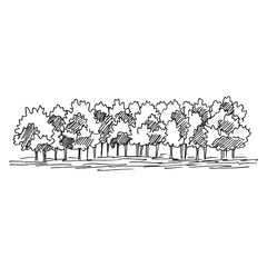 Nature illustration with forest. Hand drawn vector.