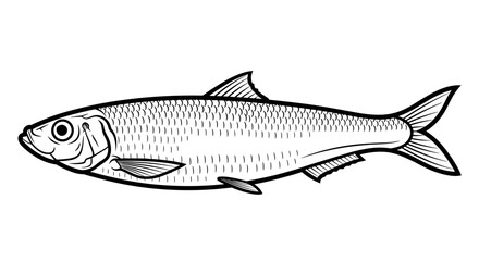 Obraz premium Herring fish illustration with detailed lines and streamlined body in black and white
