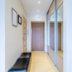 Modern Hallway Interior with Wooden Door and Mirror Panel Design