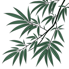Fototapeta premium bamboo leaves isolated on white background