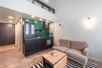 Modern Apartment Interior with Compact Kitchen and Stylish Loft Design