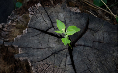 Starting over again is a chance to rewrite your story. Embrace the reset, learn from the past, and...