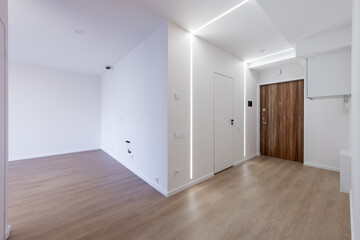 Minimalist Corridor Interior With Wooden Door and Modern White Design Elements