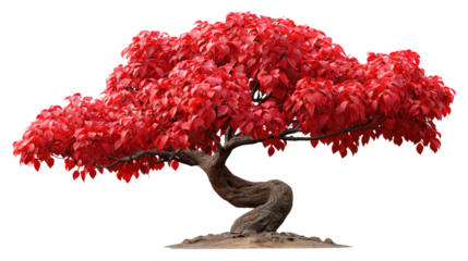 Vibrant Crimson Tree: A beautifully rendered tree showcases lush, vivid red leaves, offering a symbol of resilience and the changing seasons, with a photorealistic and organic design.