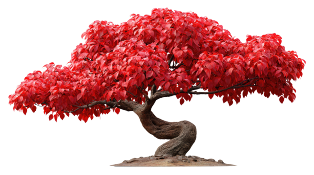 Vibrant Crimson Tree: A beautifully rendered tree showcases lush, vivid red leaves, offering a symbol of resilience and the changing seasons, with a photorealistic and organic design.