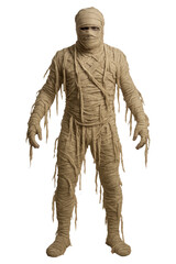 Real photo of mummy costume with tattered bandages with transparent background