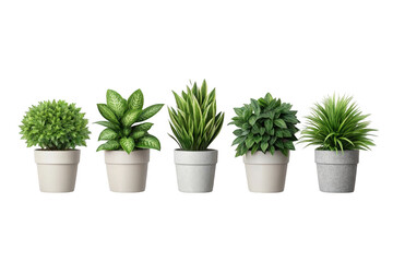 Row of potted plants isolated on transparent background