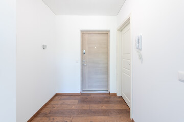 Modern Interior Hallway Featuring Wooden Flooring and Minimalist Entry Door